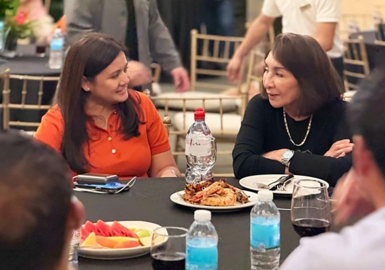 One Cebu todo suporta sa senatorial bid ni Camille Villar